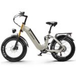 CEAYA A20 Pro Bicicleta Eléctrica Plegable Fatbike 20" – 250W 75Nm, 48V 20Ah 960Wh, 100km, Frenos Hidráulicos, Gris - Imagen 11