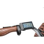 Antgooat Bicicleta Eléctrica Urbana 26" – 250W, 36V 360Wh, 90km, Cesta y Portaequipajes, Guardabarros, Verde Mujer - Imagen 6