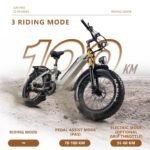 CEAYA A20 Pro Bicicleta Eléctrica Plegable Fatbike 20" – 250W 75Nm, 48V 20Ah 960Wh, 100km, Frenos Hidráulicos, Gris - Imagen 2